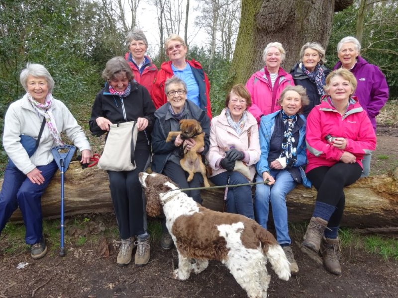 Inner Wheel Sherwood Forest 3