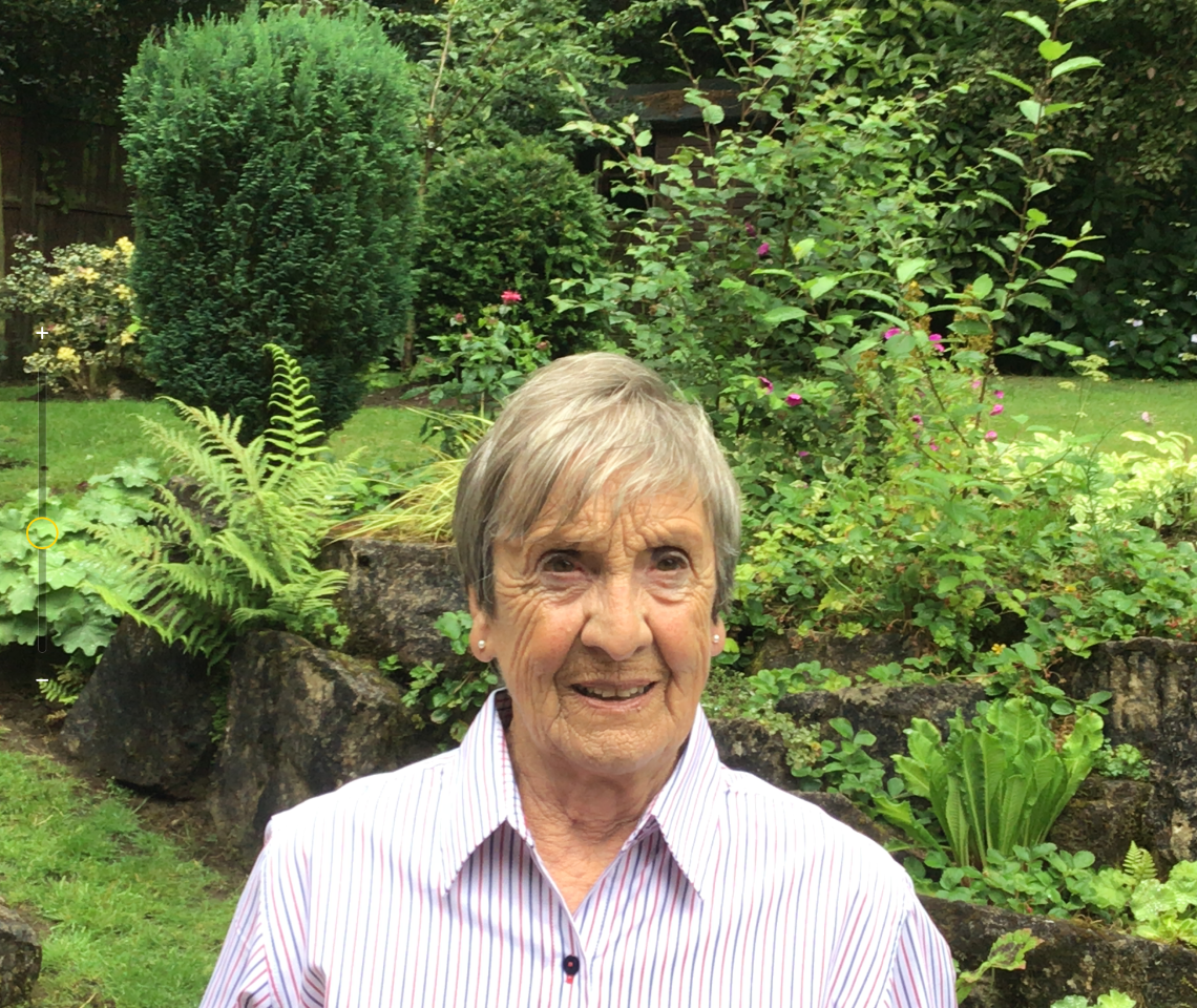 Inner Wheel Ilean (2)